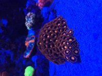 IMG_4034.jpg
