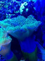 IMG_1914.jpg