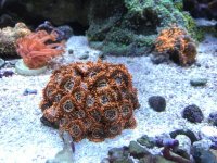 IMG_4016.jpg