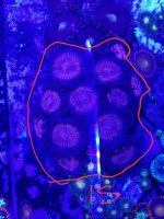 20170916_115118.jpg