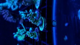 20170629_210754.jpg