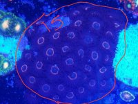 20170916_114725.jpg