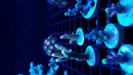 20170629_210816.jpg