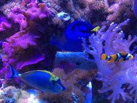 IMG_0201.jpg