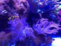 IMG_0213.jpg