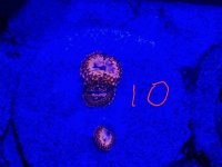 20170916_114220.jpg