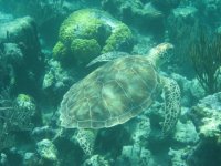 IMG_0255.JPG