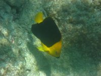 IMG_0304.JPG