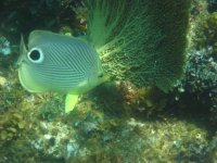 IMG_0317.JPG