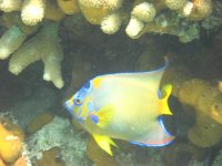 IMG_0362.JPG