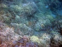 IMG_0011.JPG