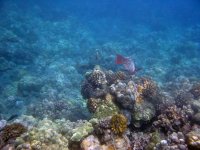 IMG_0070.JPG