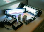 lights.jpg