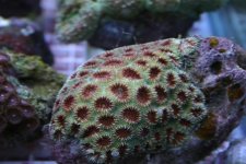 FEB 25th Stock 001.jpg