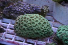 FEB 25th Stock 006.jpg