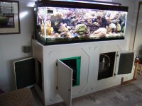 DSC00341 (Custom).JPG