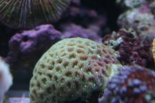 FEB 25th Stock 007.jpg