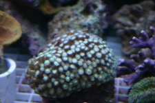 FEB 25th Stock 004.jpg