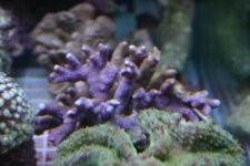 FEB 25th Stock 003.jpg