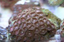 FEB 25th Stock 009.jpg