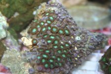 FEB 25th Stock 010.jpg