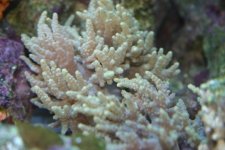 FEB 25th Stock 011.jpg