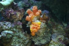 FEB 25th Stock 014.jpg