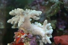 FEB 25th Stock 016.jpg