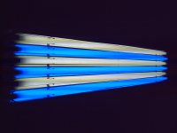 Brielle's Baptism 8-4-07 022.jpg