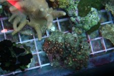 FEB 25th Stock 021.jpg