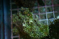 FEB 25th Stock 022.jpg