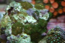 FEB 25th Stock 023.jpg