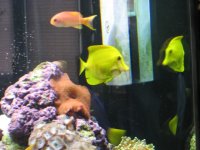 June12007Tank056.jpg