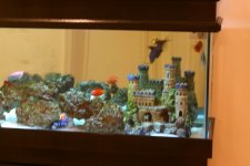 aa Jankleens tank 003.jpg