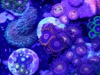 20170418_161244.jpg