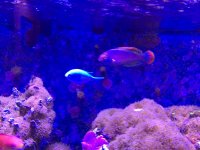 IMG_0244.jpg