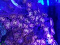 20170916_113149.jpg