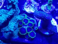 20170418_161220.jpg
