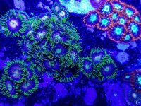 20170916_113209.jpg