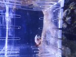 20170418_171653.jpg