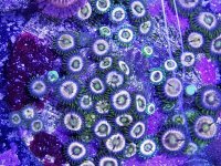 20170916_140819.jpg