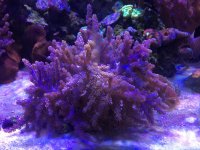 IMG_2995.jpg