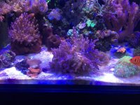 IMG_2996.jpg