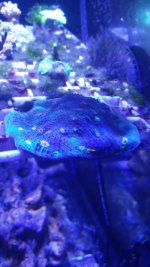 20170916_210331.jpg