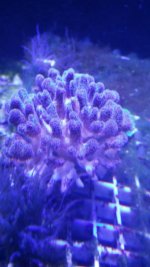 20170916_210422.jpg