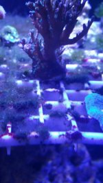 20170916_210434.jpg