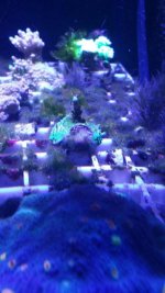 20170916_210451.jpg