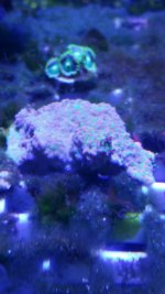 20170916_210632.jpg