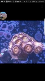 Screenshot_20170411-191129.jpg