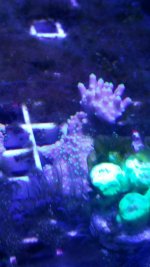 20170916_210639.jpg